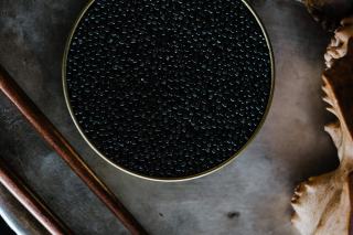 Comment choisir son caviar selon l'espèce et le sel ?
